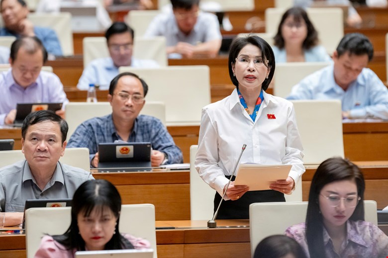 Đại biểu Trần Thị Nhị H&agrave;, đo&agrave;n TP. H&agrave; Nội n&ecirc;u &yacute; kiến.