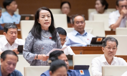 Cần giữ lại quyền chất vấn của đại biểu Hội đồng nhân dân với Chánh án, Viện kiểm sát