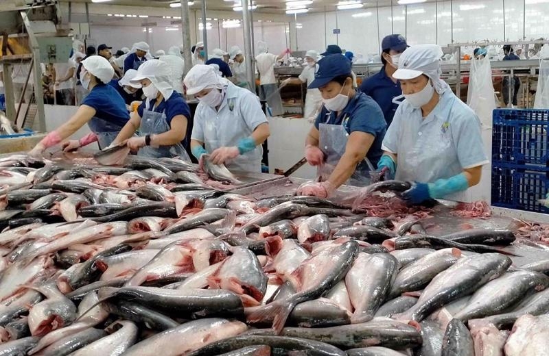 Vietnamese pangasius gains wider access to Brazilian market