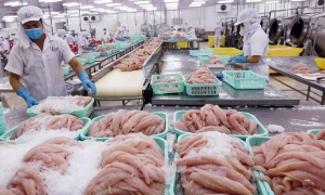 Việt Nam là đối tác tiềm năng trong lĩnh vực chế biến và tái xuất thủy sản của Na Uy