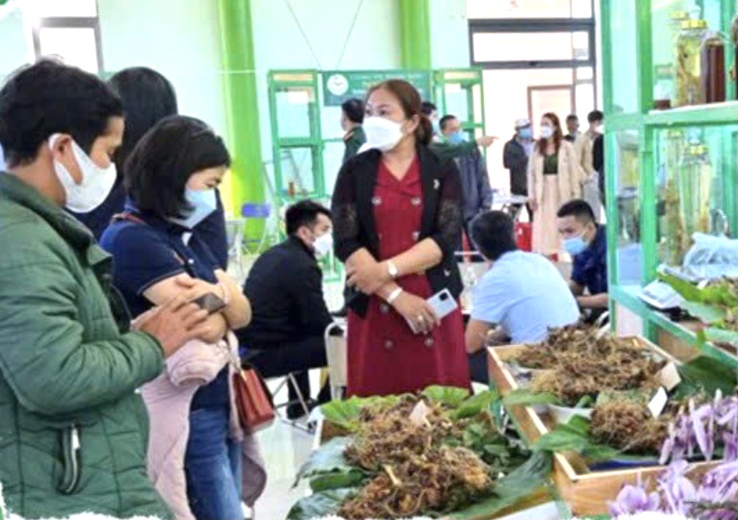 Hội chợ Sâm Ngọc Linh tại Nam Trà My.