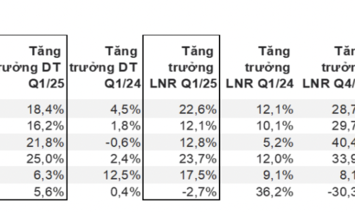 Toàn cảnh bức tranh kinh doanh quý 1/2025 của gần 1.000 doanh nghiệp niêm yết