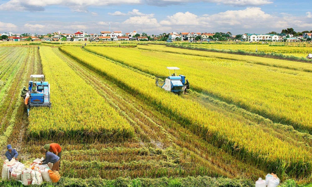 Thái Bình là địa phương phát triển kinh tế nông nghiệp