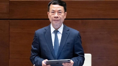 A working group on science, technology development, innovation, and digital transformation established 