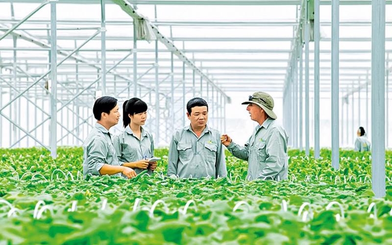 For green finance and technology