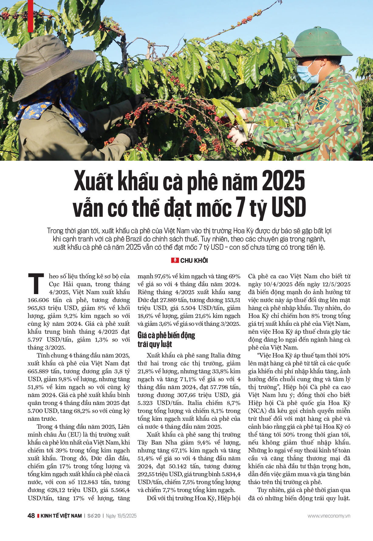 Xuất khẩu cà phê năm 2025 vẫn có thể đạt 7 tỷ USD - Ảnh 1