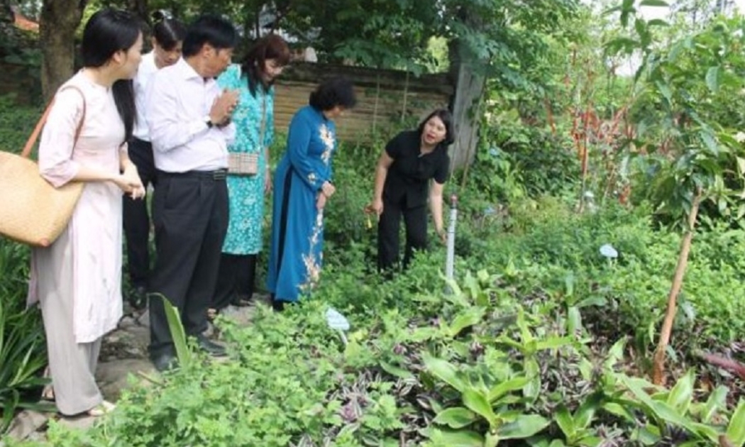 Vườn thảo dược trong khuôn viên Di tích cấp quốc gia Đền Thánh Nguyễn. Ảnh: CK.