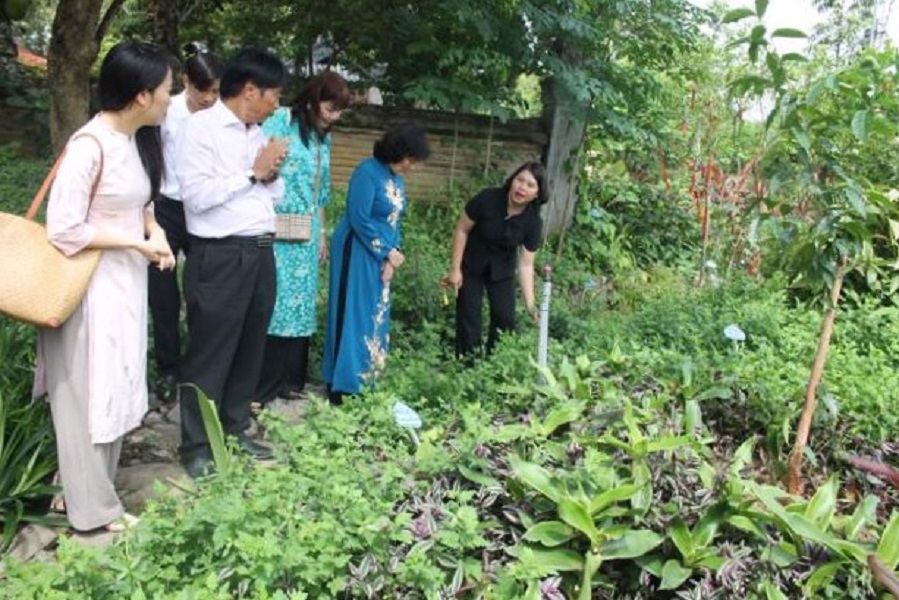 Vườn thảo dược trong khuôn viên Di tích cấp quốc gia Đền Thánh Nguyễn. Ảnh: CK.