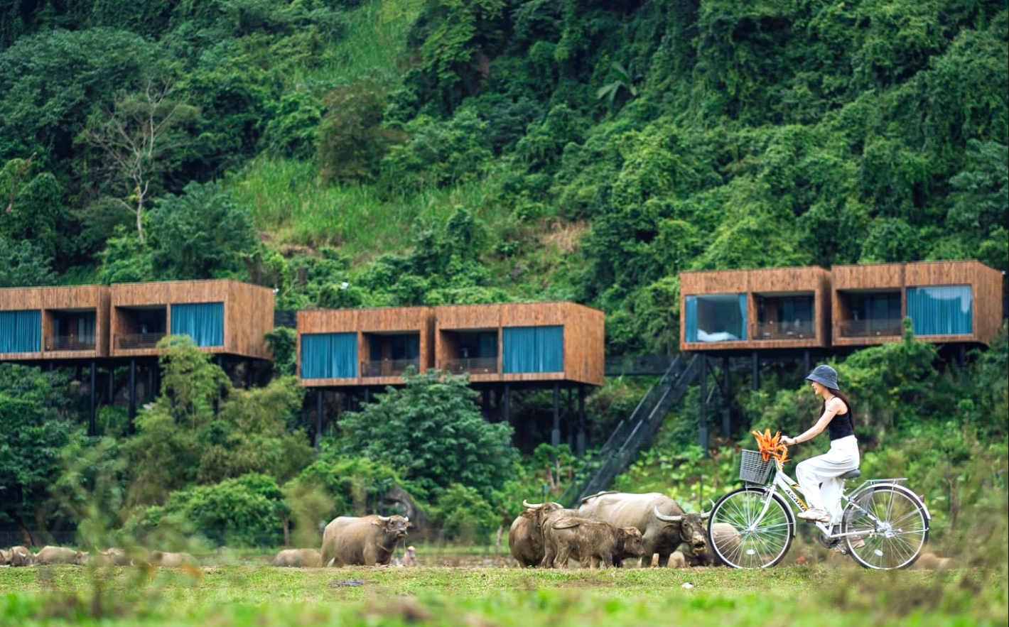 Nông thôn mới ở xã miền núi Tân Hóa, huyện Minh Hóa, tỉnh Quảng Bình, đẹp lạ với mô hình du lịch. Ảnh: Oxalis Adventure