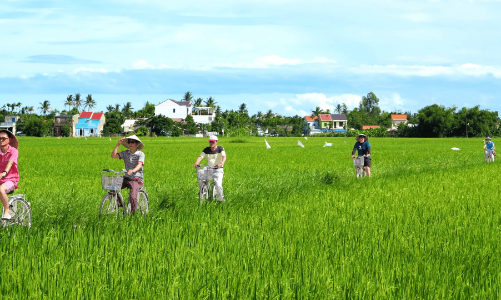 Du lịch Quảng Nam có nhiều động lực mới