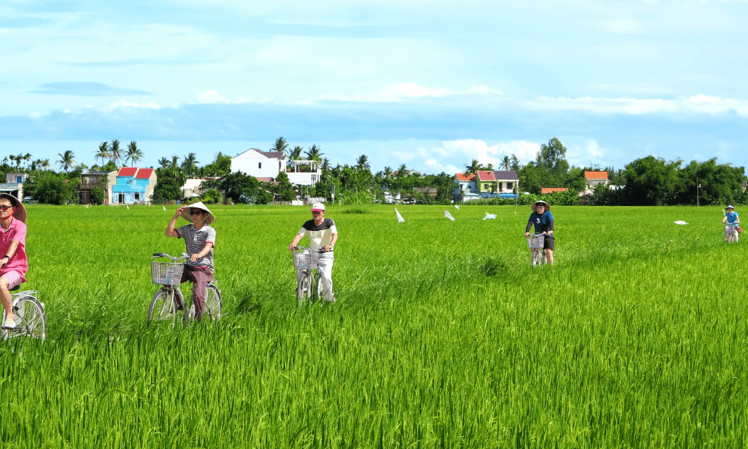 Tour đạp xe tham quan làng Cẩm Thanh.