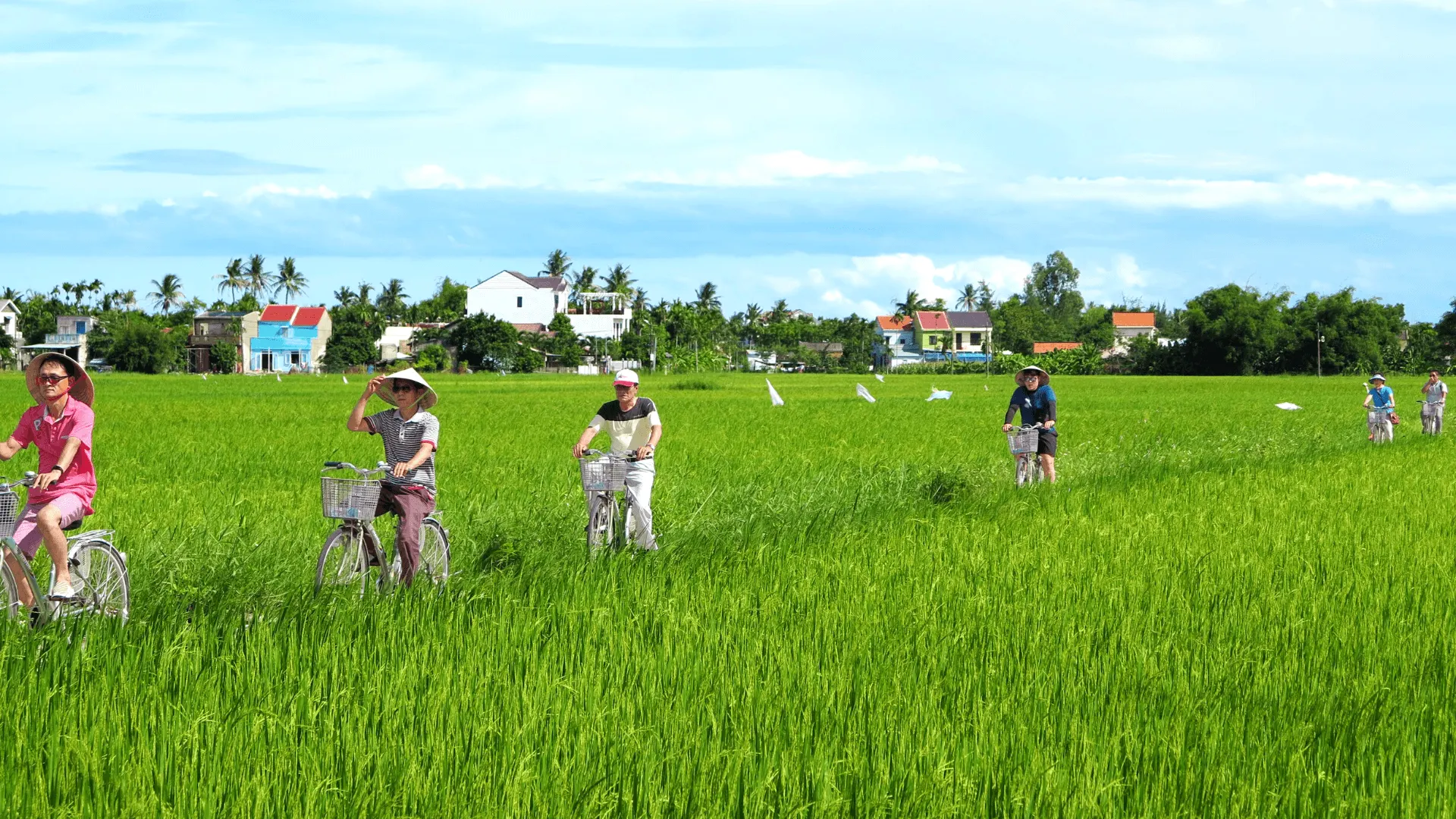 Tour đạp xe tham quan làng Cẩm Thanh.