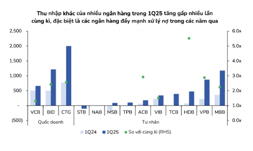 Lợi nhuận ngân hàng năm 2025: Trông chờ vào thu hồi nợ xấu bất động sản? 