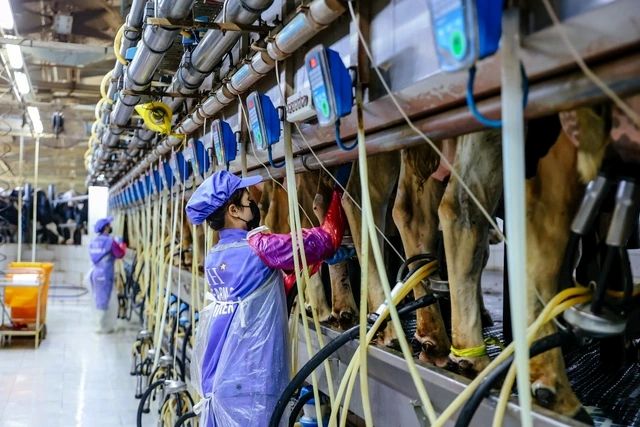 Trên thế giới không một quốc gia nào đạt được thịnh vượng mà thiếu đi một khu vực tư nhân phát triển mạnh mẽ.