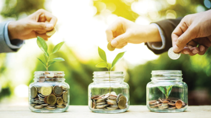 On the path to green and sustainable development