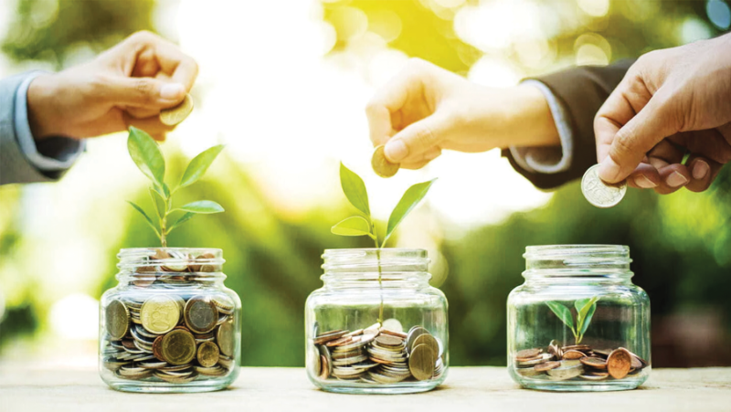 On the path to green and sustainable development