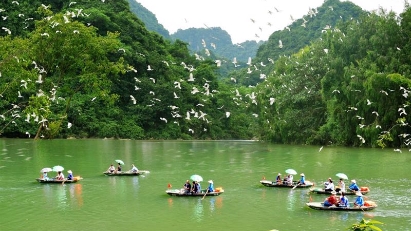 Great efforts in green transition