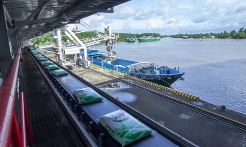 Bứt phá toàn diện, PVCFC giữ thế chủ lực trong mùa vụ Hè Thu 