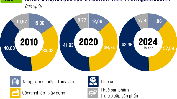 Cơ cấu và động thái chuyển dịch cơ cấu