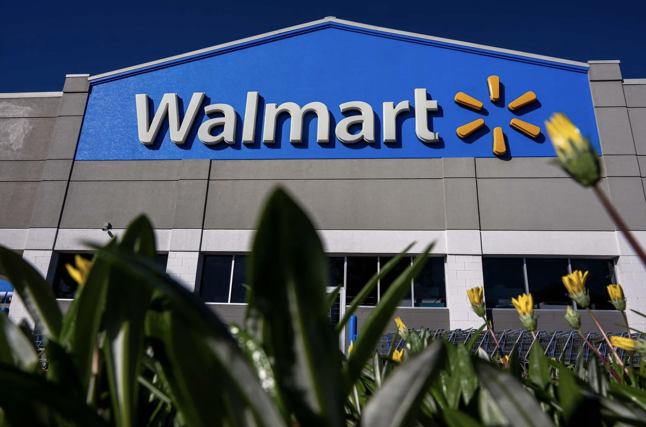 Ảnh minh họa - Ảnh: Bloomberg.