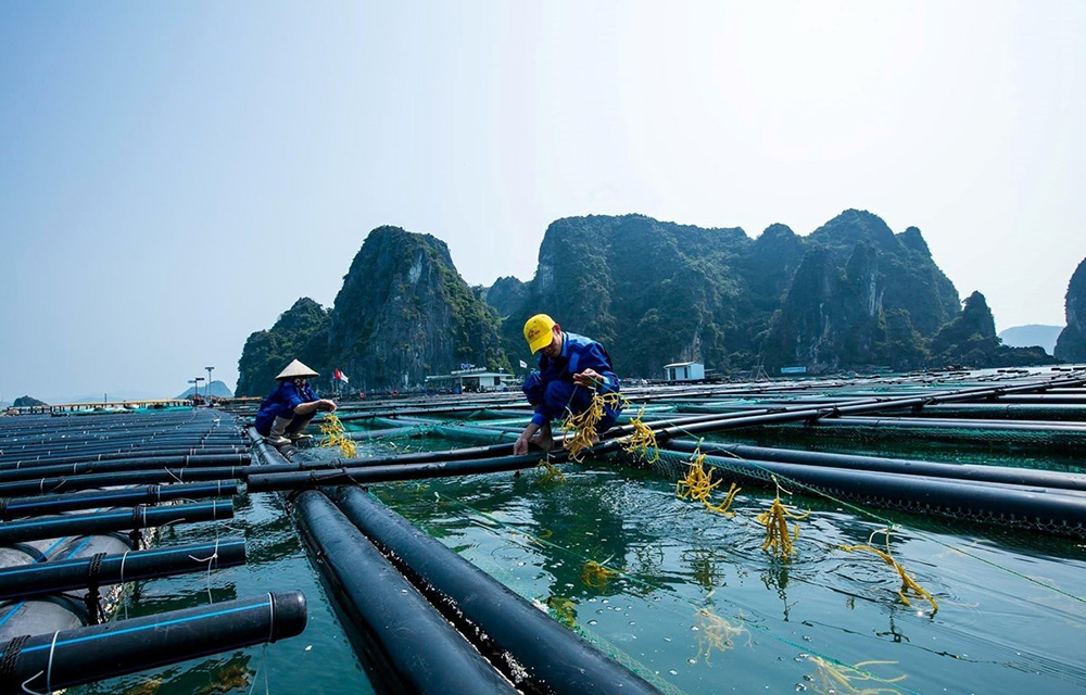 Việc giao biển phải đảm bảo không ảnh hưởng đến quốc phòng, an ninh, chủ quyền và các quyền, lợi ích quốc gia trên biển.