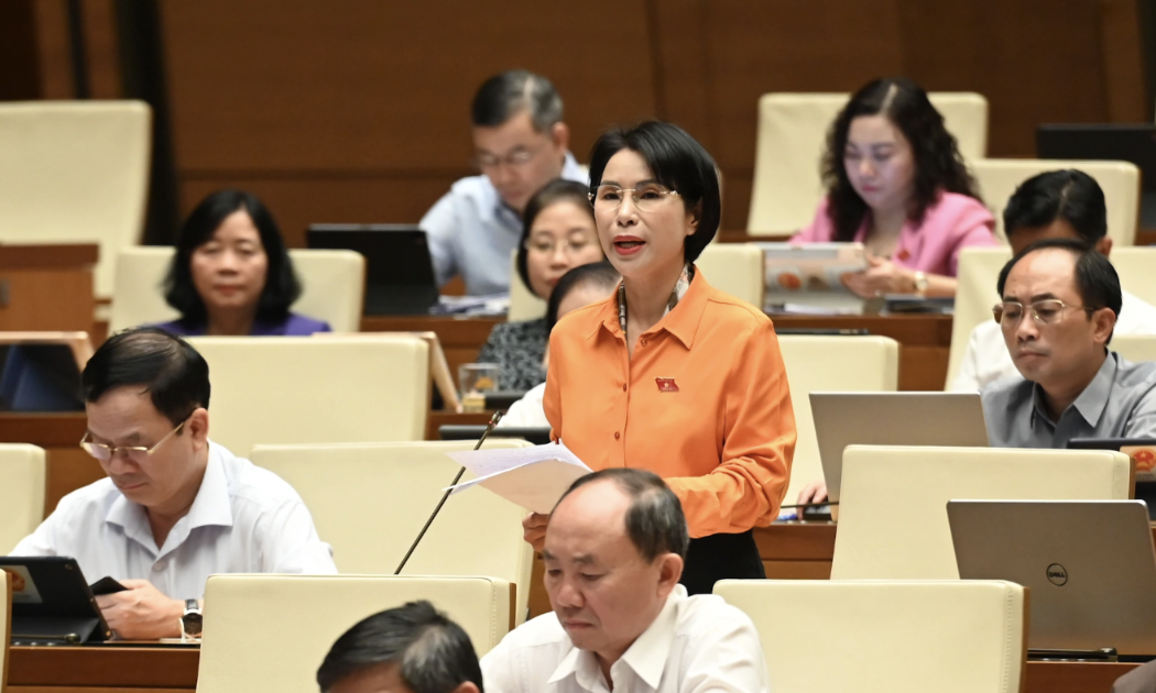 Đại biểu Trần Thị Nhị Hà - TP Hà Nội. 