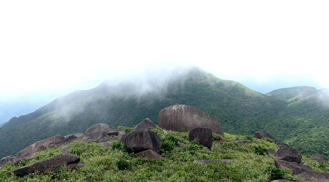 Đỉnh Voi Mẹp cao tr&ecirc;n 1.700m được v&iacute; l&agrave; 