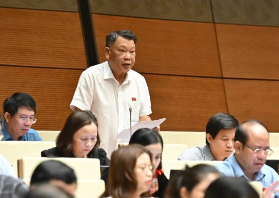 Đại biểu Nguyễn Tạo, đo&agrave;n L&acirc;m Đồng.