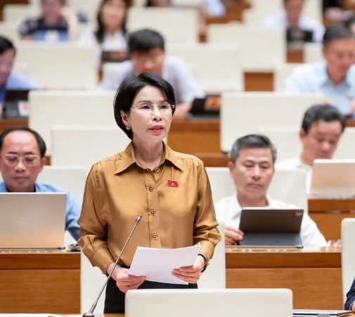 Đại biểu Trần Thị Nhị H&agrave;, đo&agrave;n Tp.H&agrave; Nội, ph&aacute;t biểu thảo luận.