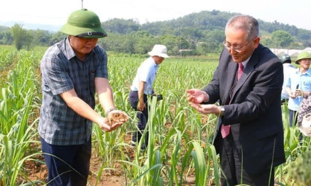 Cuộc cách mạng xanh,