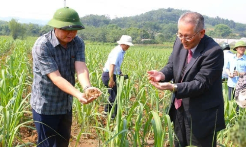 Cuộc cách mạng xanh, 