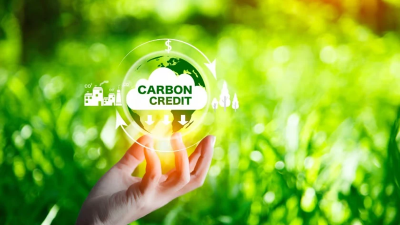 Carbon market to develop