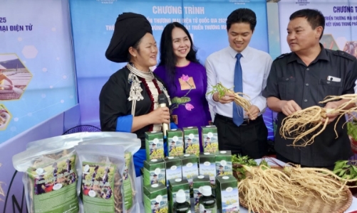 Xây dựng hệ sinh thái thương mại điện tử vùng Trung du và miền núi phía Bắc