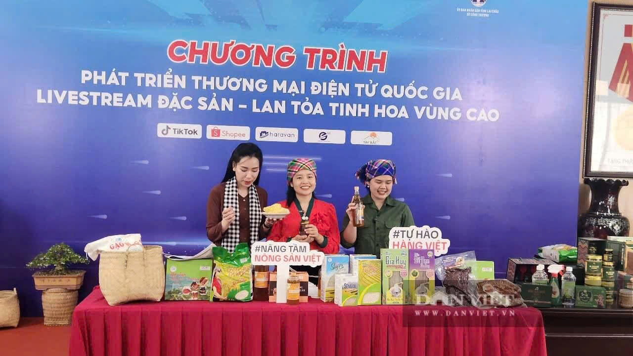 Xây dựng hệ sinh thái thương mại điện tử vùng Trung du và miền núi phía Bắc - Ảnh 2