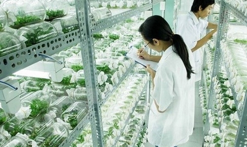 Hà Nội xây khu công nghệ cao sinh học tại quận Bắc Từ Liêm