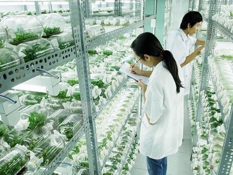 Hanoi to start zoning plan for first hi-tech biological park