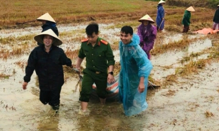 Công an, bộ đội giúp dân thu hoạch lúa sau mưa lũ ở Hà Tĩnh