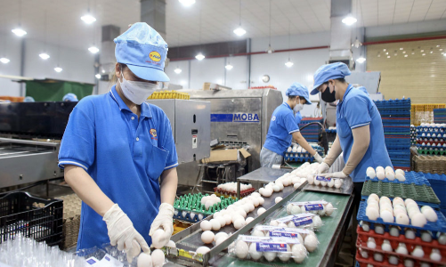 Thủ tục đầu tư rối rắm đang cản trở dòng vốn vào nền kinh tế