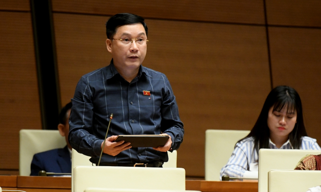 Đại biểu Lê Hoàng Anh, đoàn Gia Lai.