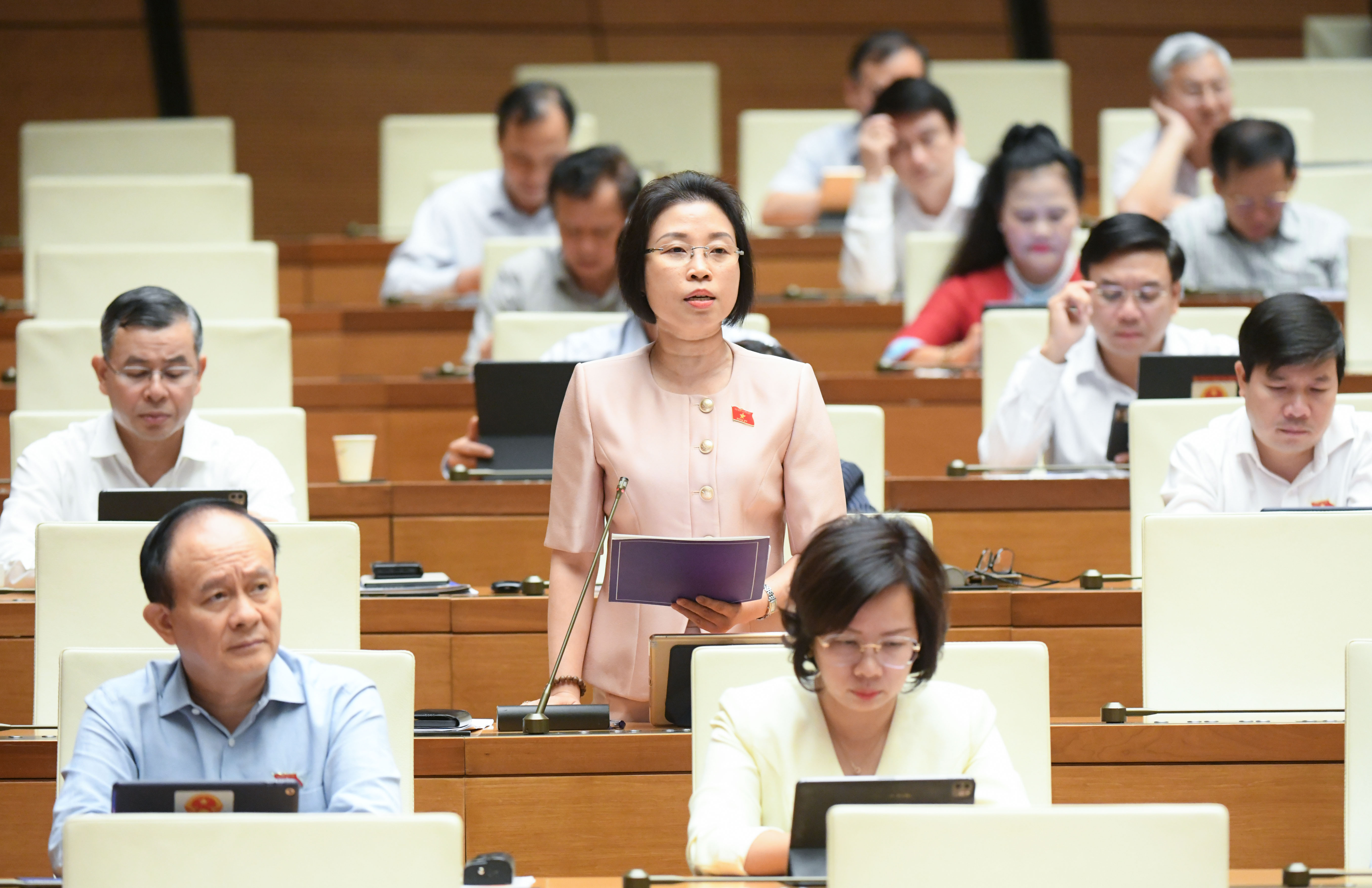 Đại biểu Phạm Thị Thanh Mai, đoàn TP. Hà Nội.