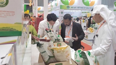 Vietnam leverages open market opportunities to boost exports to Malaysia