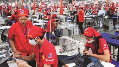Vietnam, India weave sustainable textile partnership