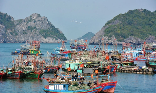 Hải Phòng, Thái Bình, Quảng Ninh nỗ lực gỡ thẻ vàng thủy sản