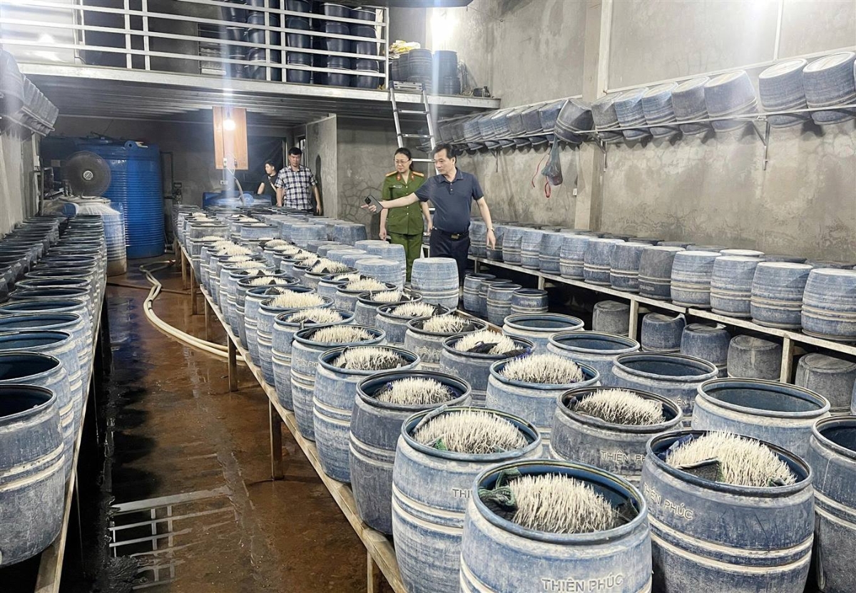 Xưởng giá đ&ocirc;̃ được ng&acirc;m ủ bằng hóa ch&acirc;́t được c&ocirc;ng an Lào Cai phát hi&ecirc;̣n&nbsp;