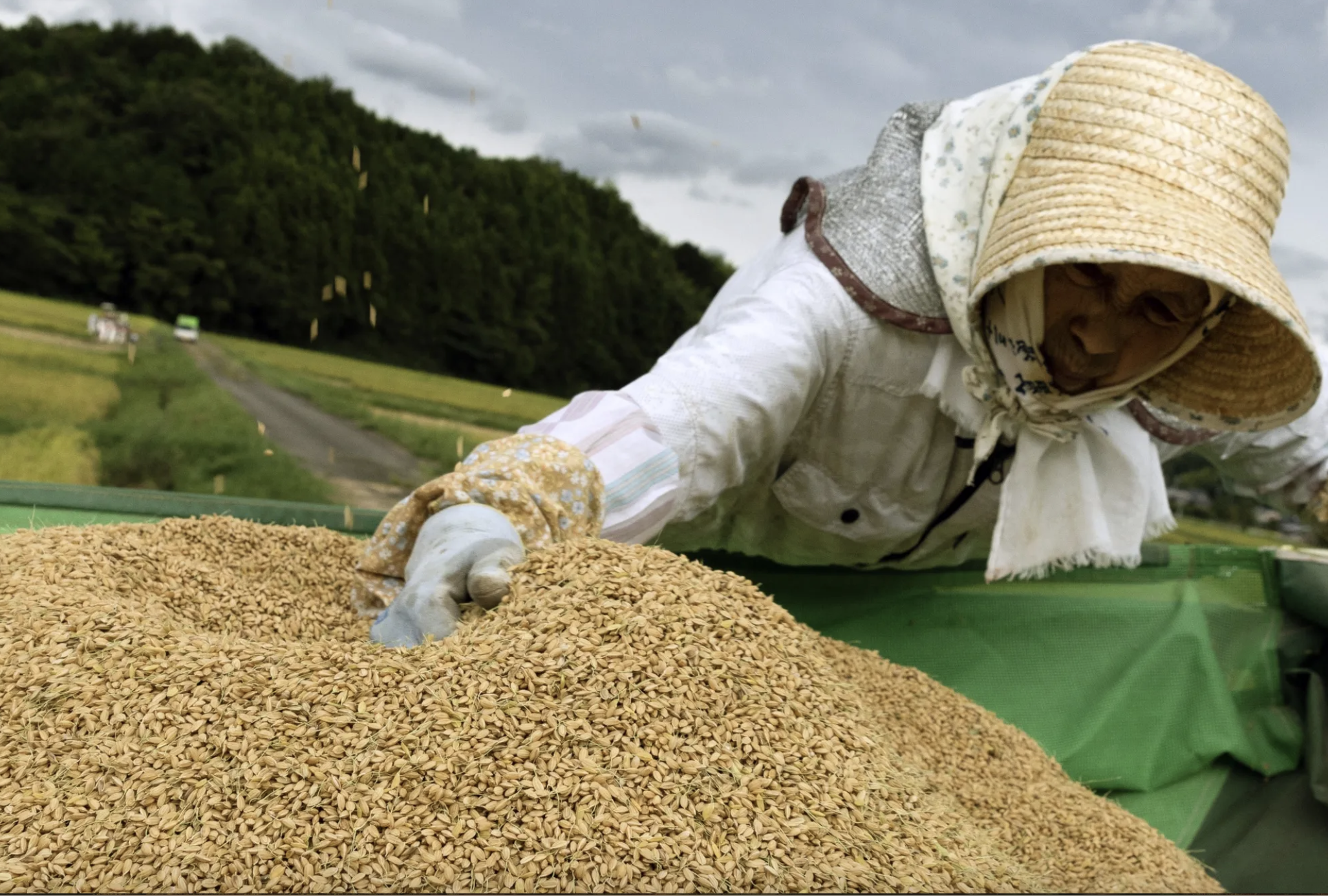 Ảnh minh họa - Ảnh: Bloomberg.