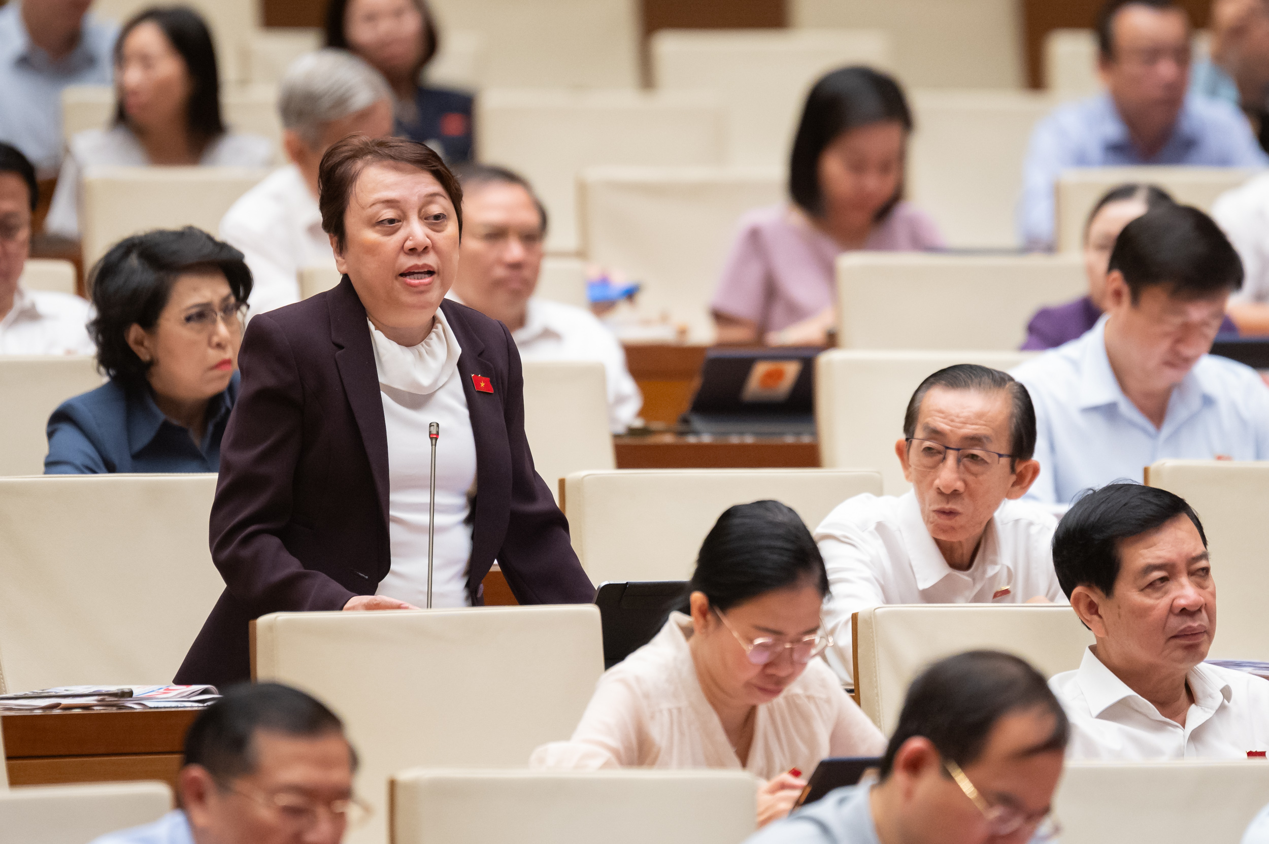 Đại biểu Phạm Kh&aacute;nh Phong Lan, đo&agrave;n TP. Hồ Ch&iacute; Minh, ph&aacute;t biểu &yacute; kiến.