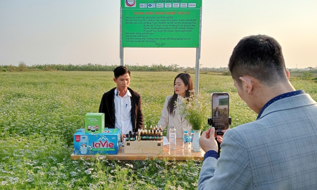 Thương mại điện tử là lĩnh vực còn mới mẻ đối với khu vực miền núi, vùng sâu, vùng xa.