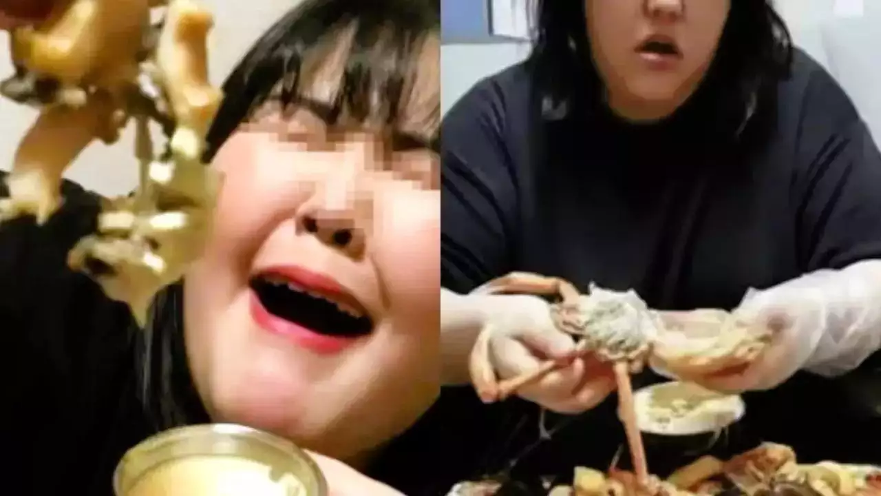 Năm 2024,&nbsp;ng&ocirc;i sao mukbang 24 tuổi người Trung Quốc tử vong trong l&uacute;c ph&aacute;t s&oacute;ng trực tiếp.
