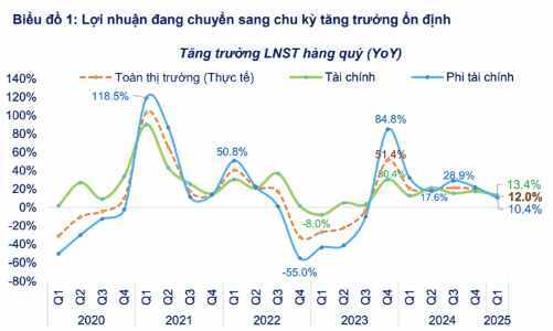 Lợi nhuận doanh nghiệp quý 1/2025: Chỉ tăng 12% nhưng chất lượng và ổn định, không còn phụ thuộc vào thu nhập tài chính 