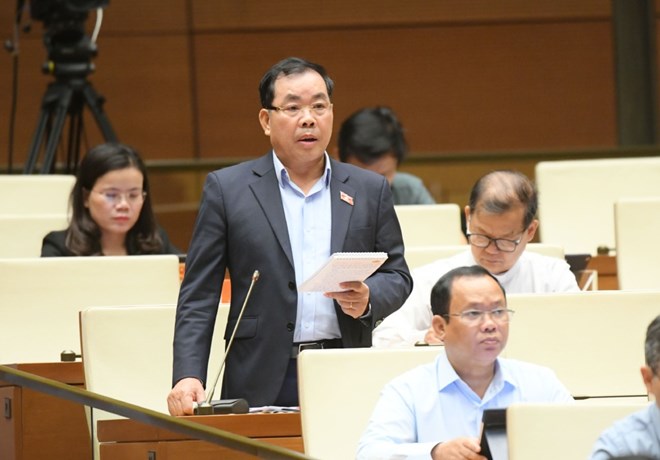 Đại biểu Nguyễn Quang Huân, đoàn Bình Dương.